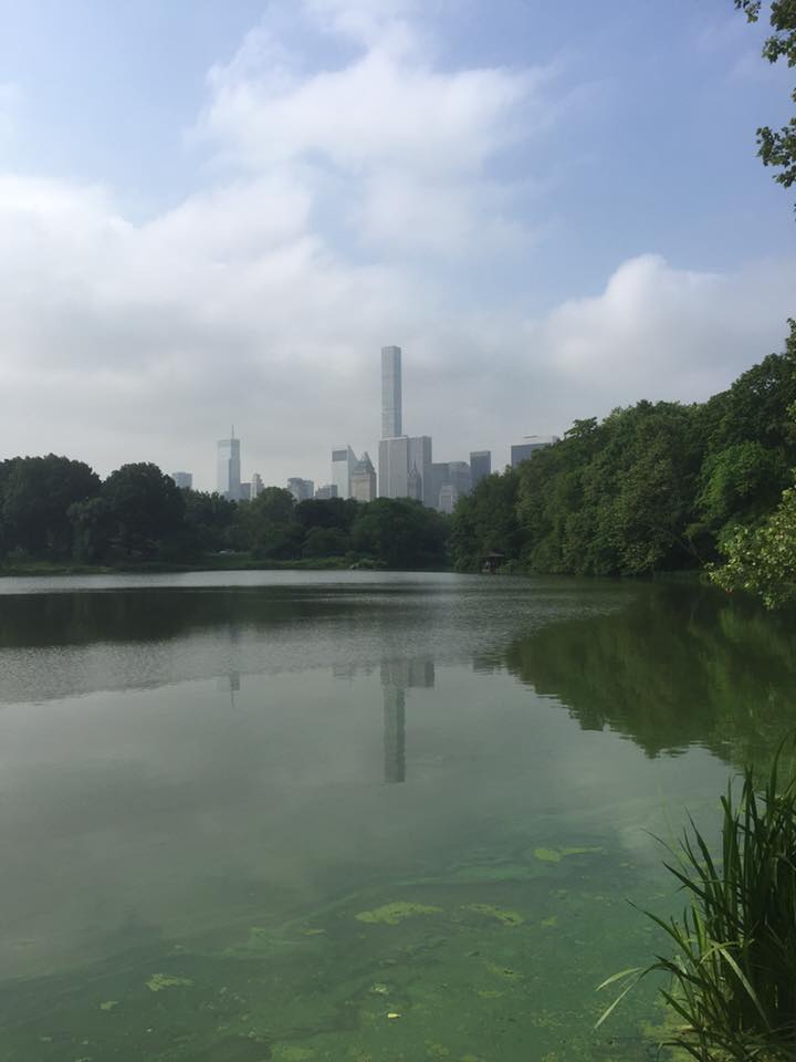 ГИМН НЕДЕЛИ: НАСТРОЕНИЕ НЬЮ-ЙОРК