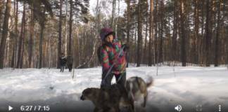 Добро к добру. Как люди и звери помогают друг другу. «КомуЗа»