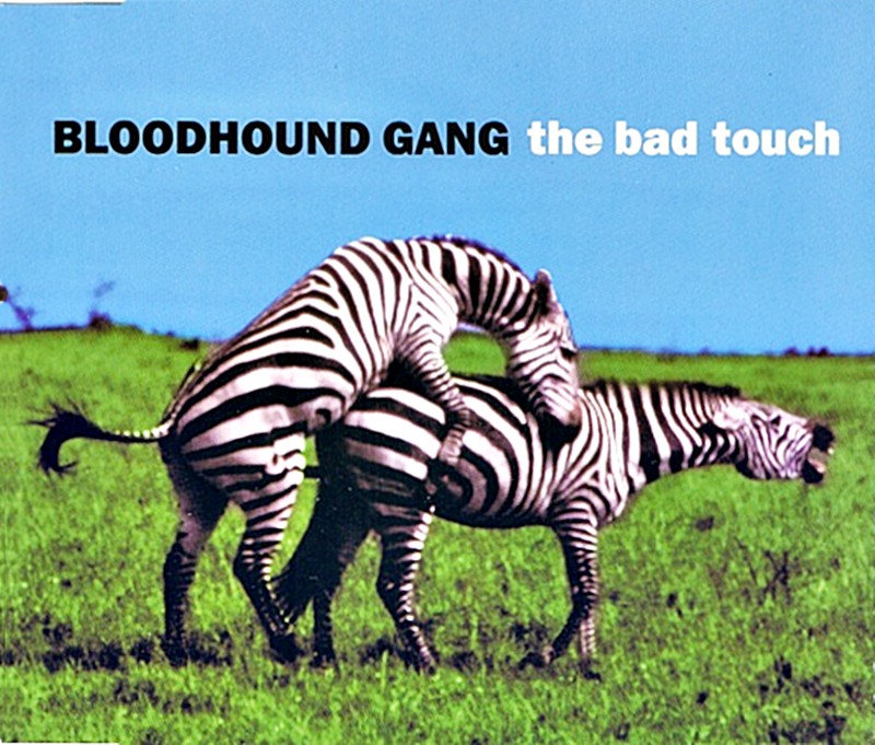 ГИМН НЕДЕЛИ: МУЗЫКА МОЕГО СЧАСТЬЯ