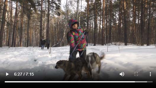 Добро к добру. Как люди и звери помогают друг другу. «КомуЗа»